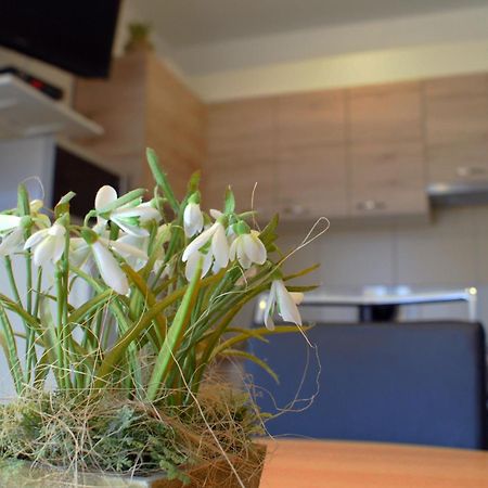Apartments Martina بيبينيا المظهر الخارجي الصورة